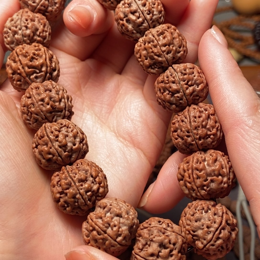 金刚菩提手串五瓣18原生态双龙269