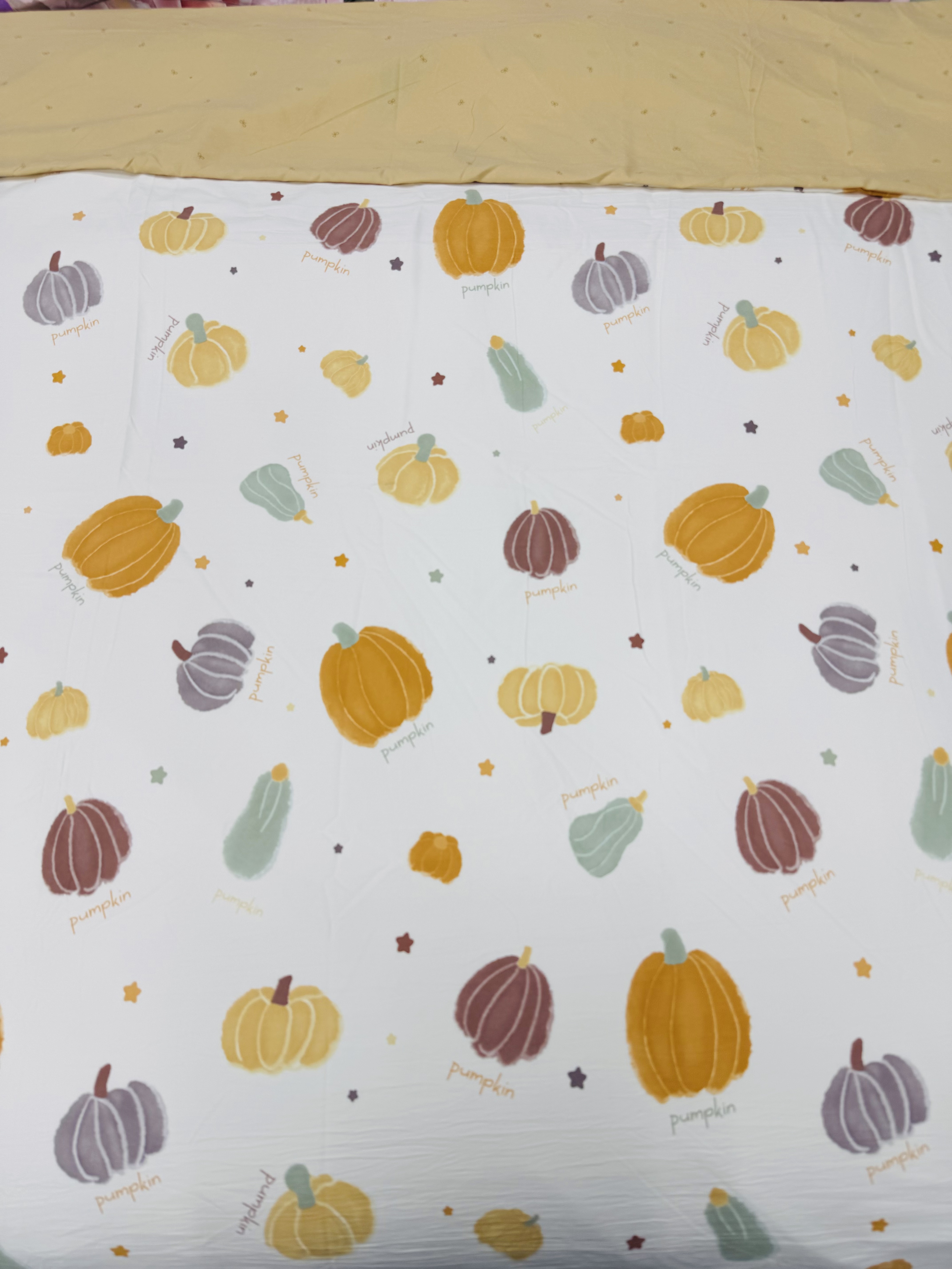 (活力南瓜)单人加密加厚斜纹被罩 