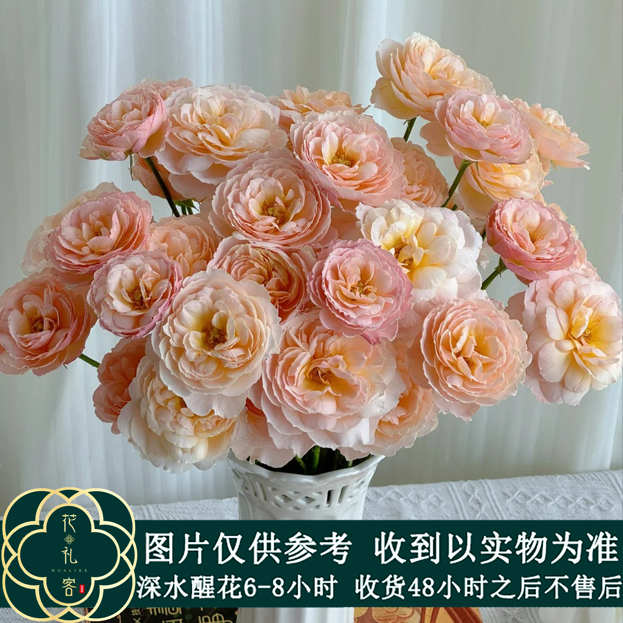 七叶花坊#【巴黎月光】稀有小众多头玫瑰 顺丰直发 玫瑰花