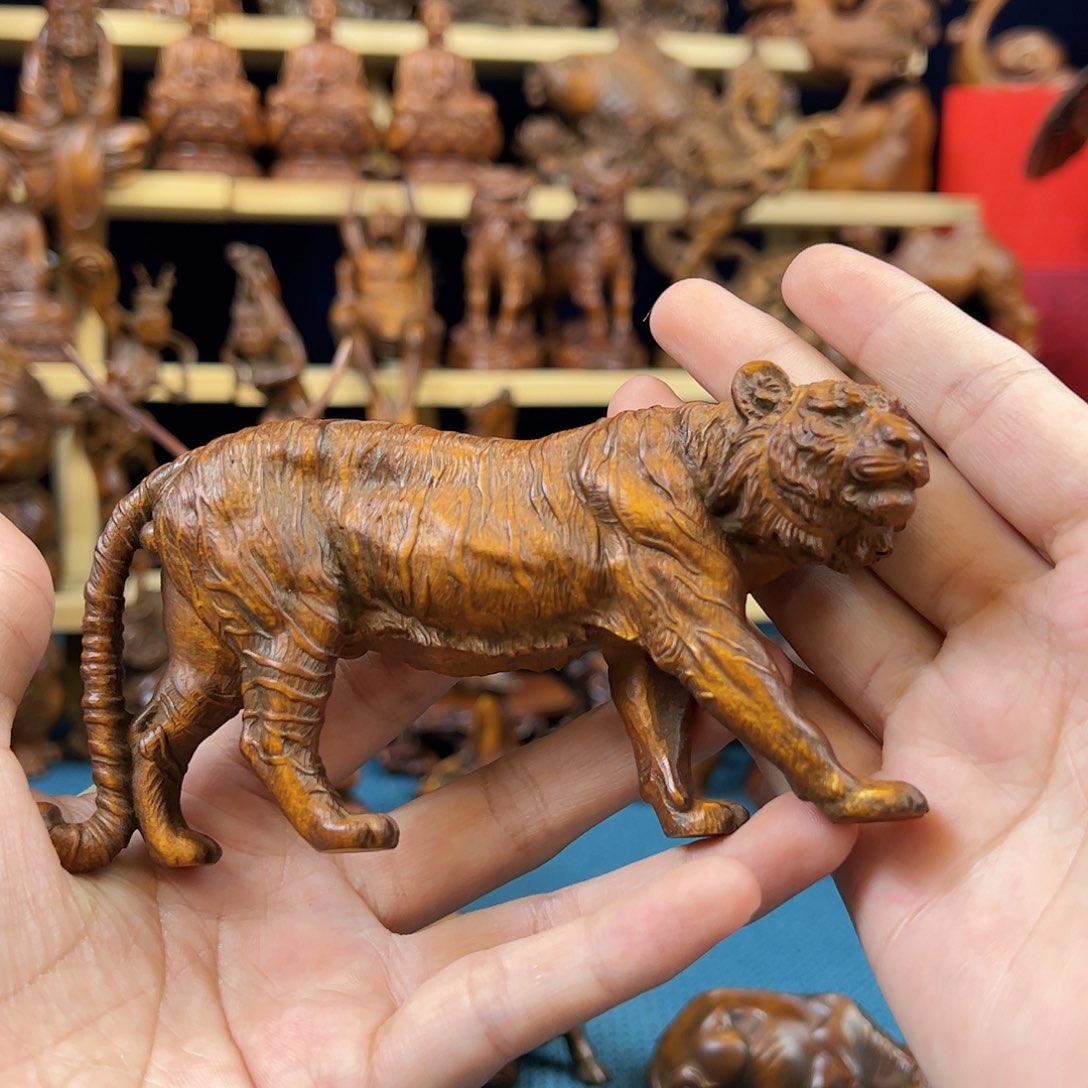 黄杨木小叶黄杨木