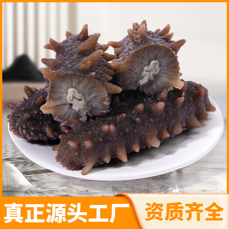 大连海参0添加鲜活干货淡干鲜食Q弹高刺即食海参礼盒批发源头工厂