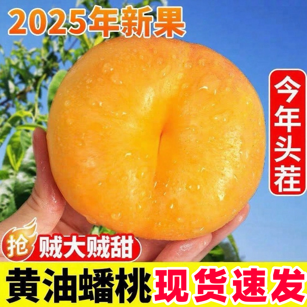 【纯甜爆汁新】山东蒙阴彩虹油蟠桃稀有黄油蟠桃黄心油桃扁桃新鲜桃