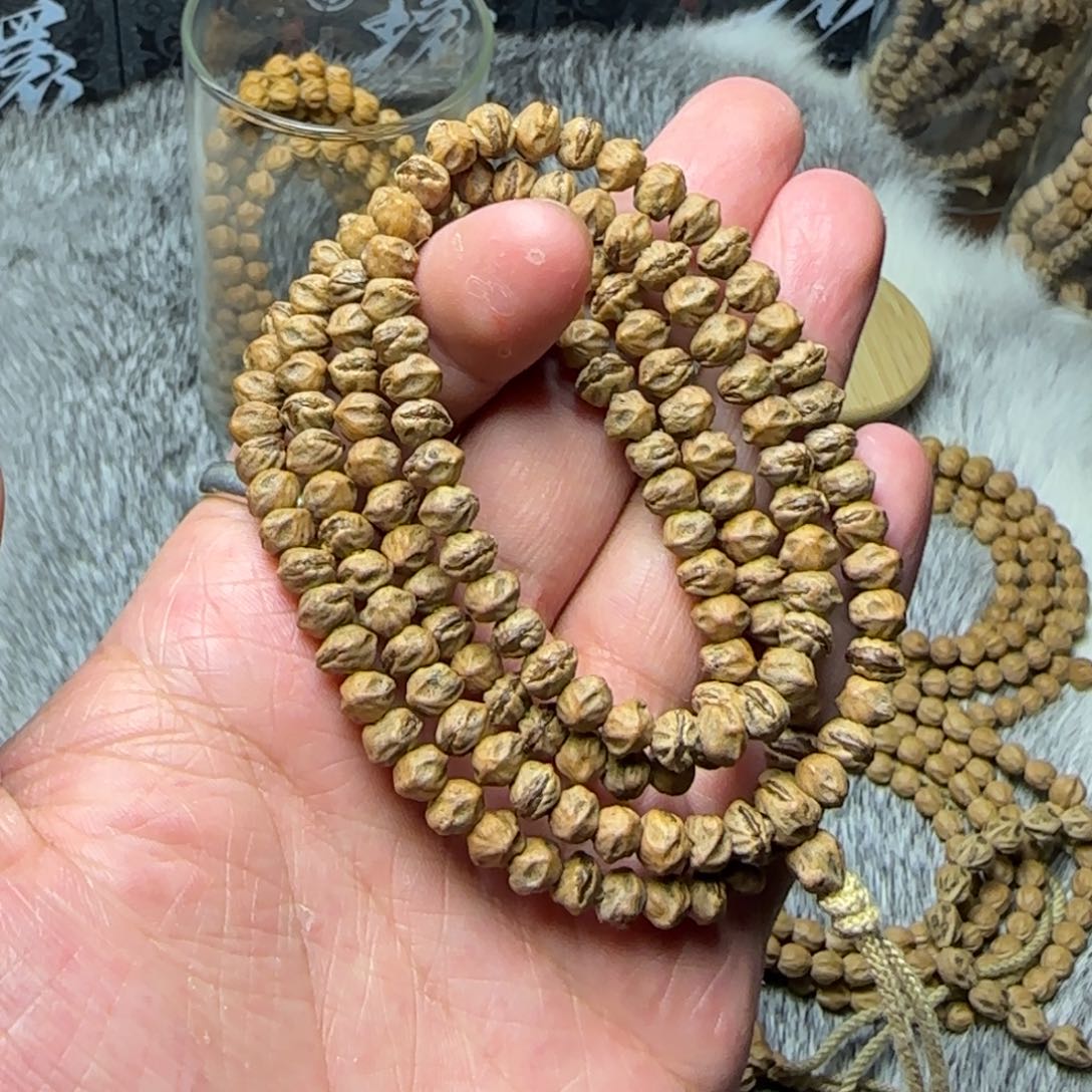 小尺寸原桩红牙口横打