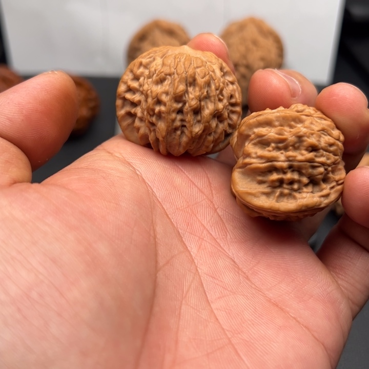 文玩核桃把件M红豆