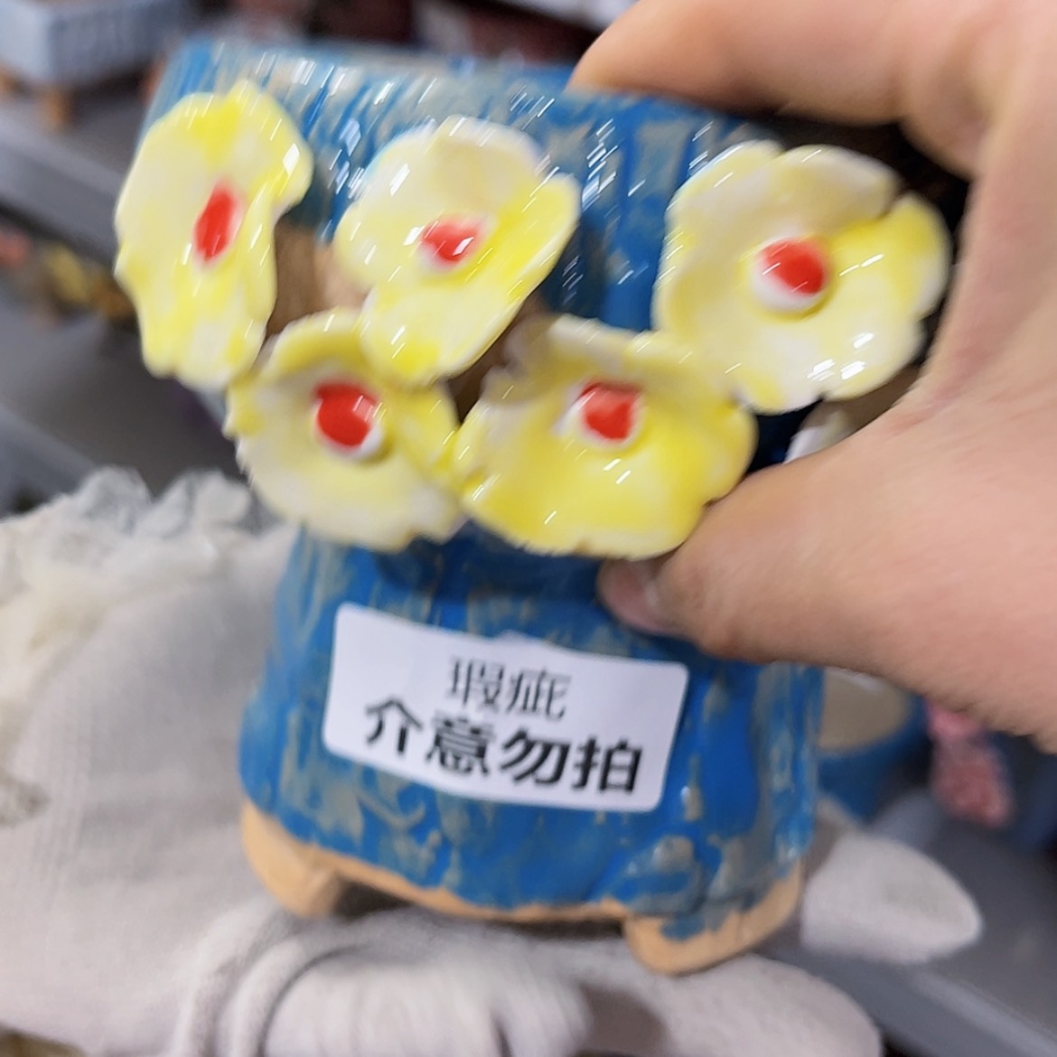 【闪购商品】红陶福利