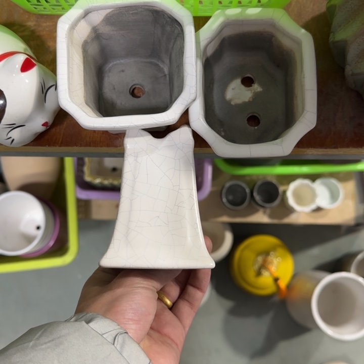 3《所有单满15发（花盆）》