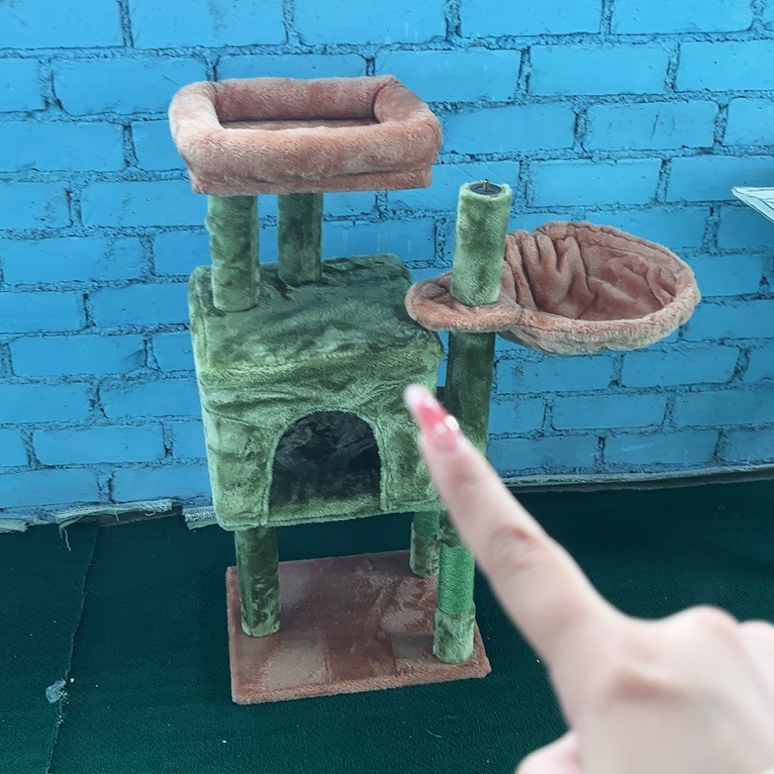 自***强孤品炸炸炸炸炸炸