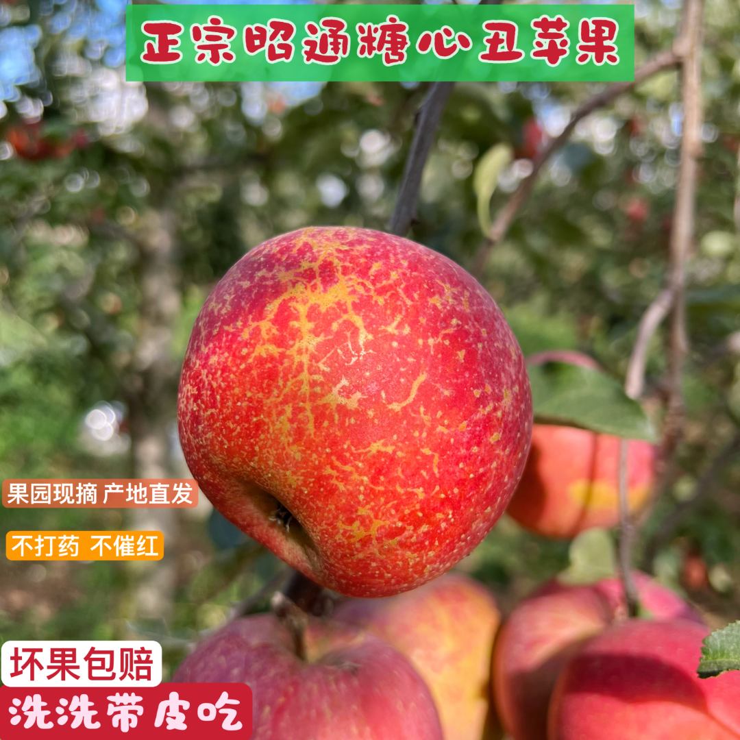 正宗云南昭通冰糖心丑苹果新鲜脆甜高原当季水果产地直发新鲜水果