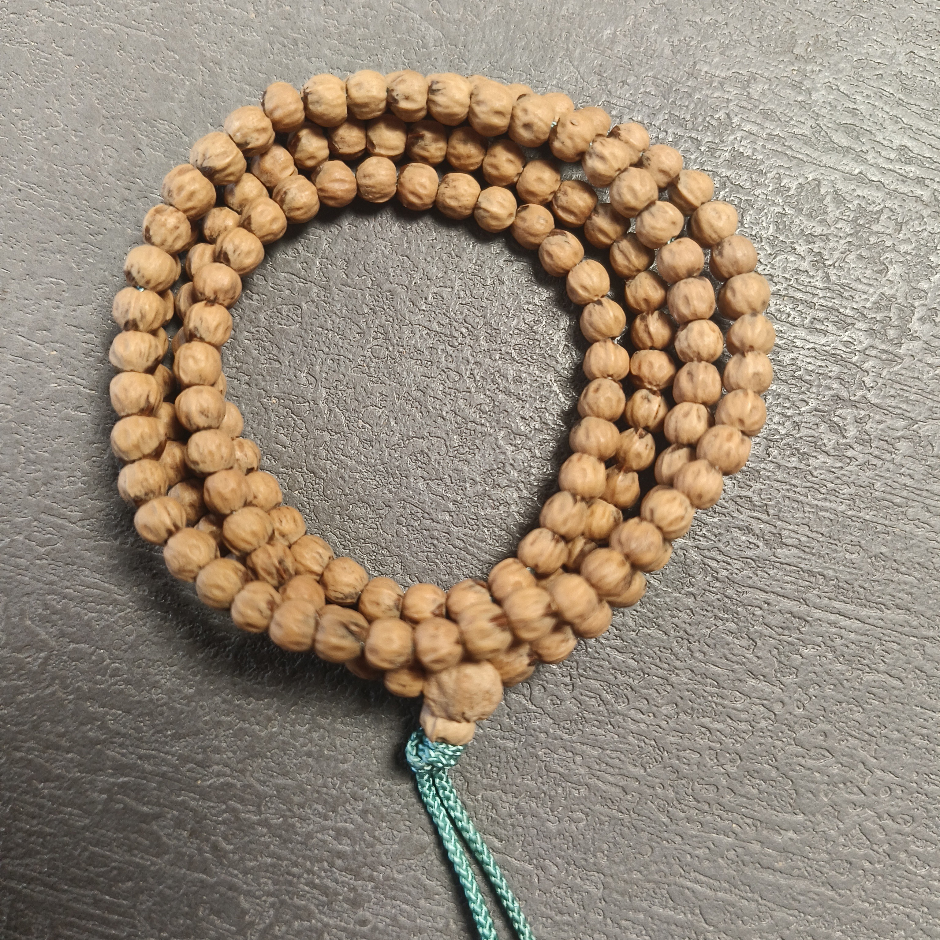 新店福利/柏香籽/小金豆