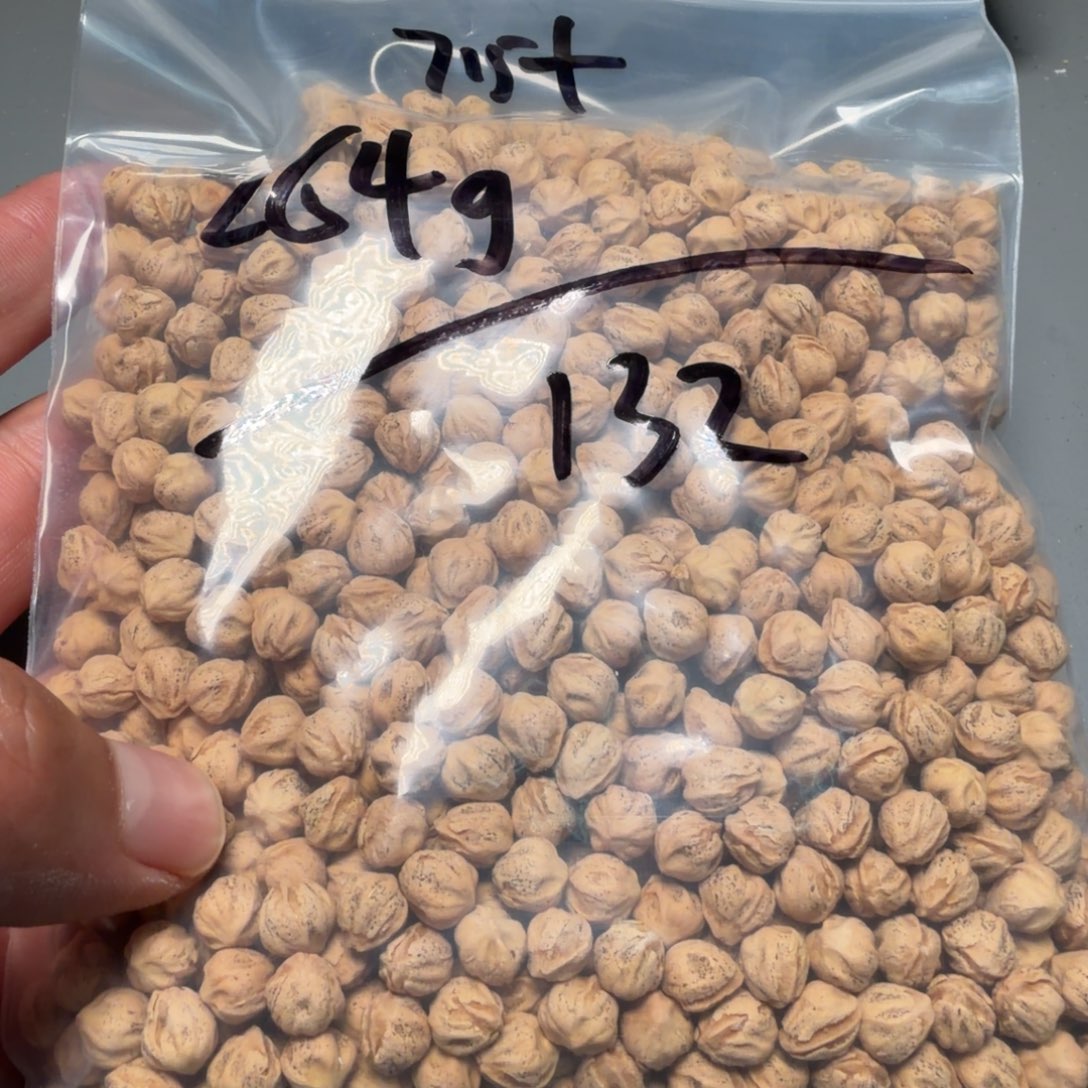 吊坠柏香籽/百香籽—****—