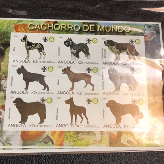 062哈哈哈哈哈哈狗狗明信片