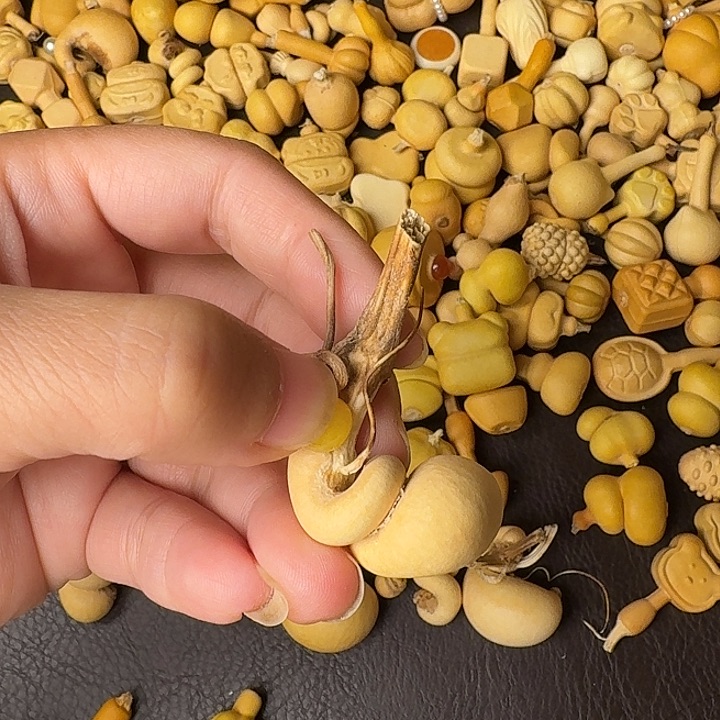 和***菌葫芦笙真的好好吃好可爱呜呜