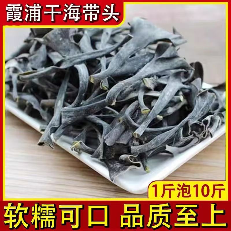 霞浦日晒海带头软糯厚实无泥无沙干净煲汤佳品
