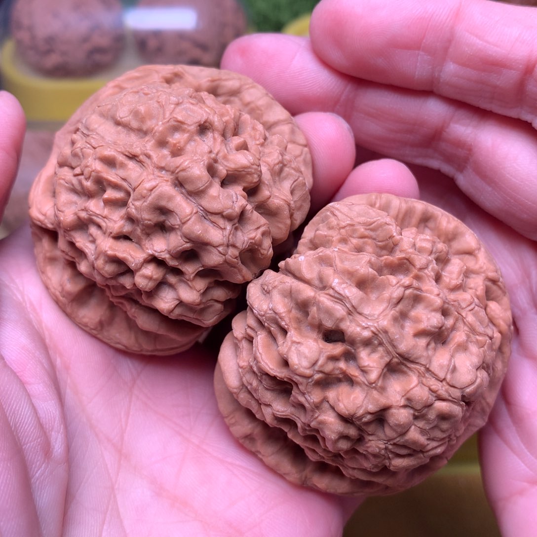 文玩核桃把件毕业肉球龙鼎51