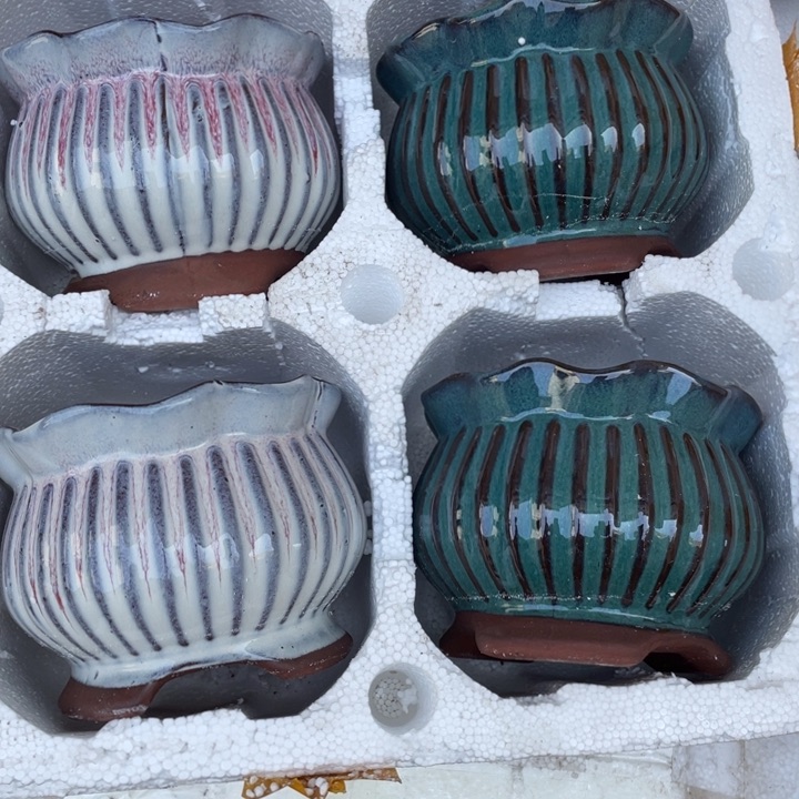 红陶紫砂紫砂小时