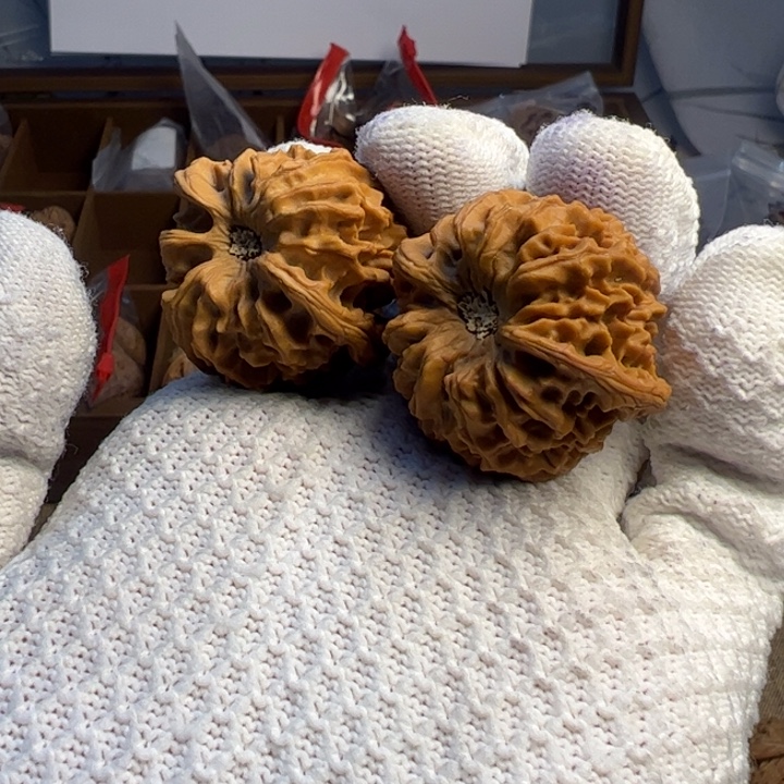 吊坠文玩核桃龙门涧 全品无修