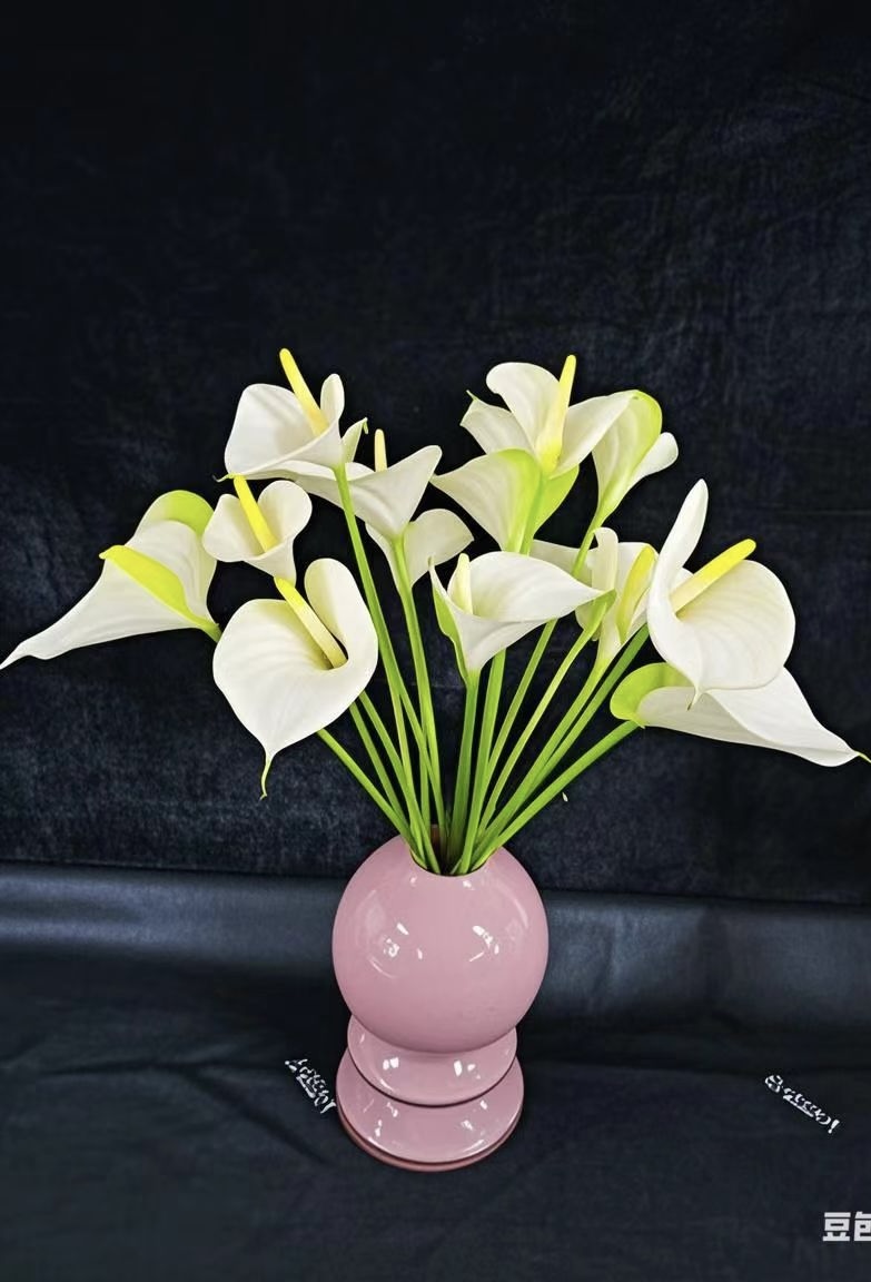 【掌品无限】耳语 红掌花卉高端鲜切花室内植物耐放