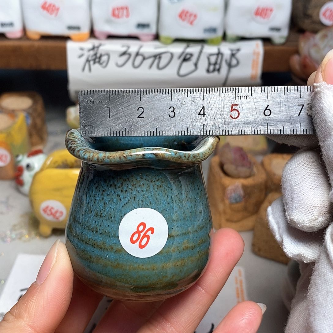 红陶拍5送一个小