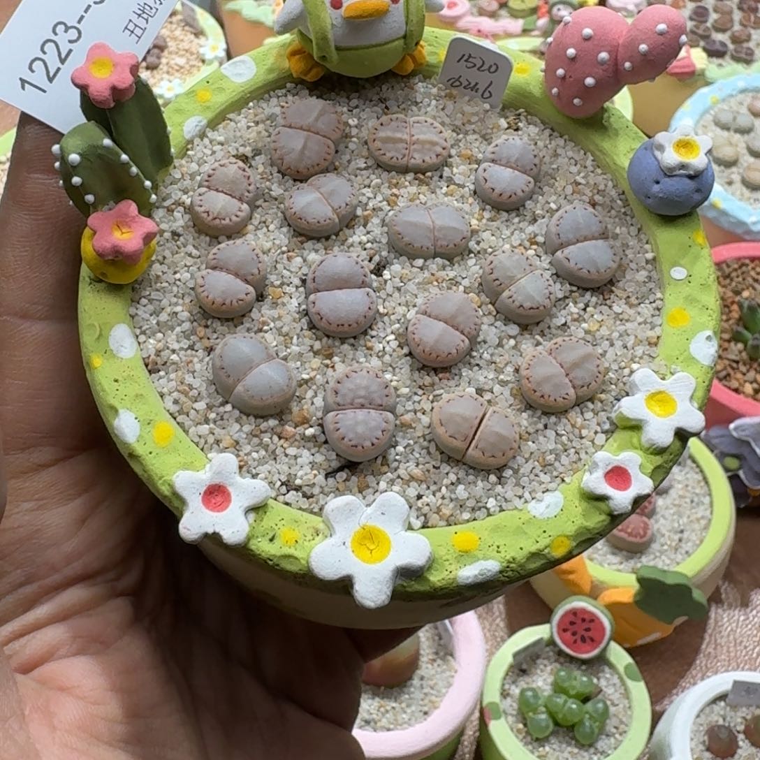 J***e1223-059盆盆盆盆盆