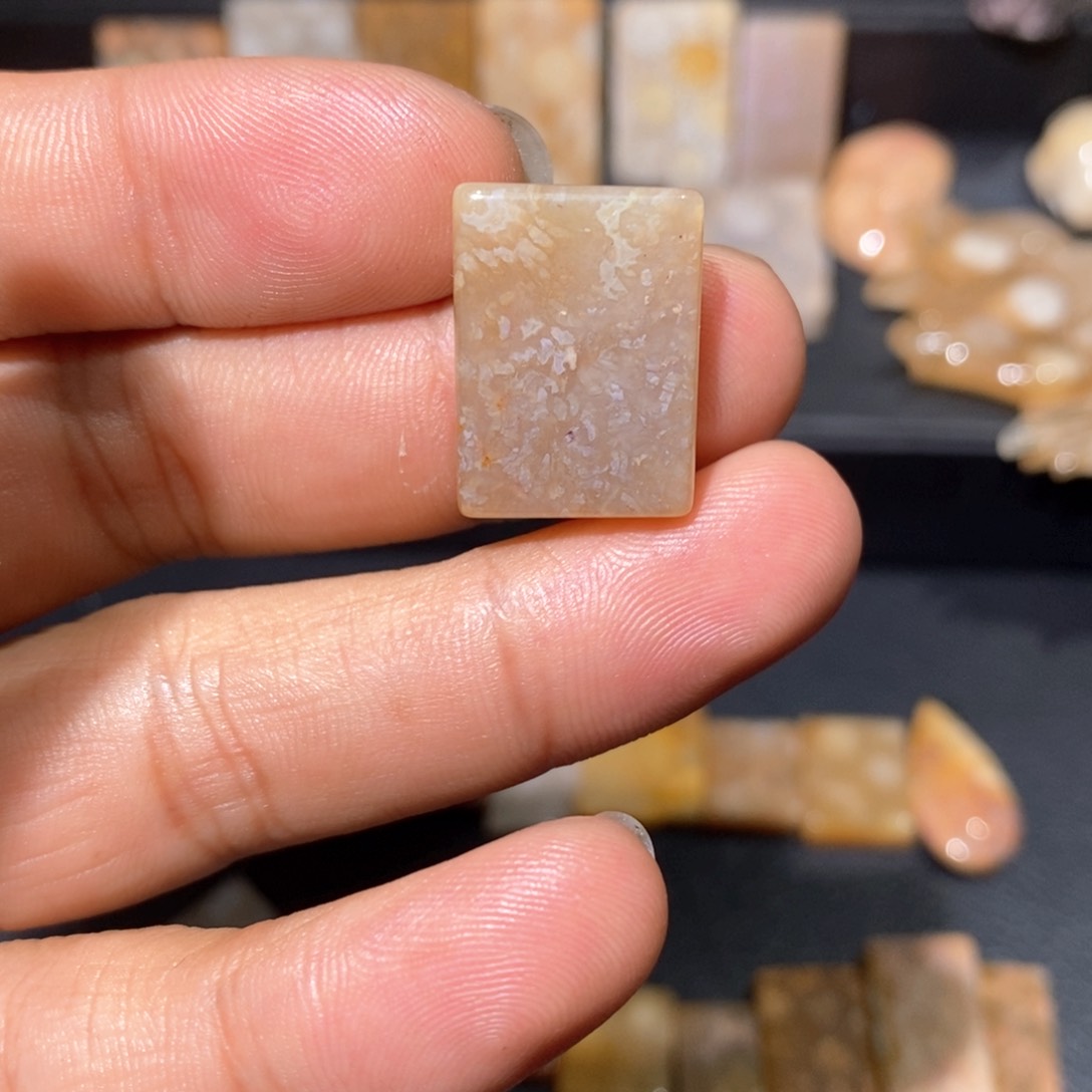 【闪购商品】硅化玉颈饰未镶嵌