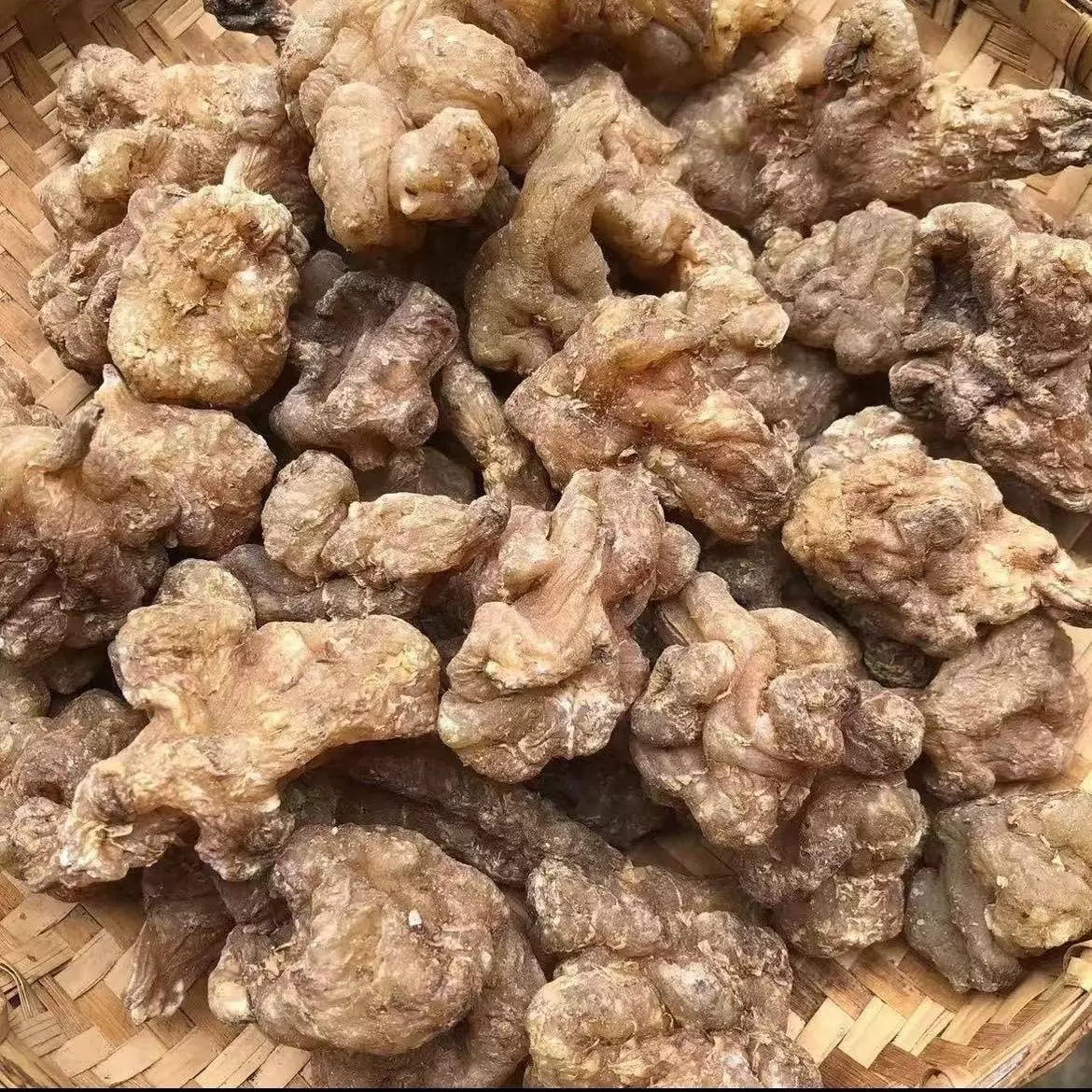 现收山货 玉精灵  250克/500克土特产食用农产品 可搭配枸杞