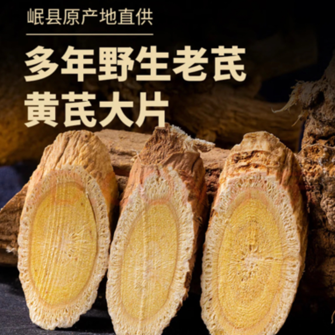 甘肃岷县野外生老黄芪