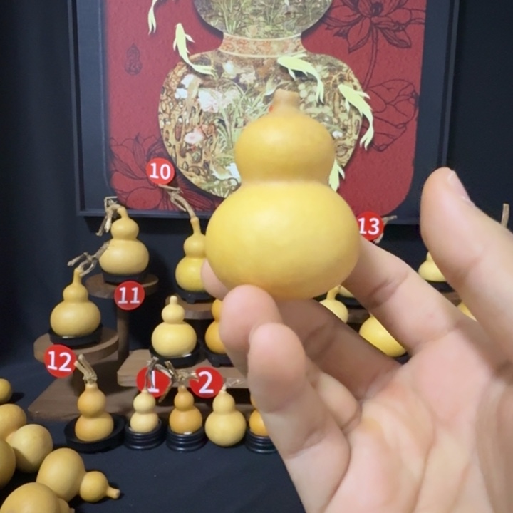 柚****葫芦头等组成一大群小动的小型水库