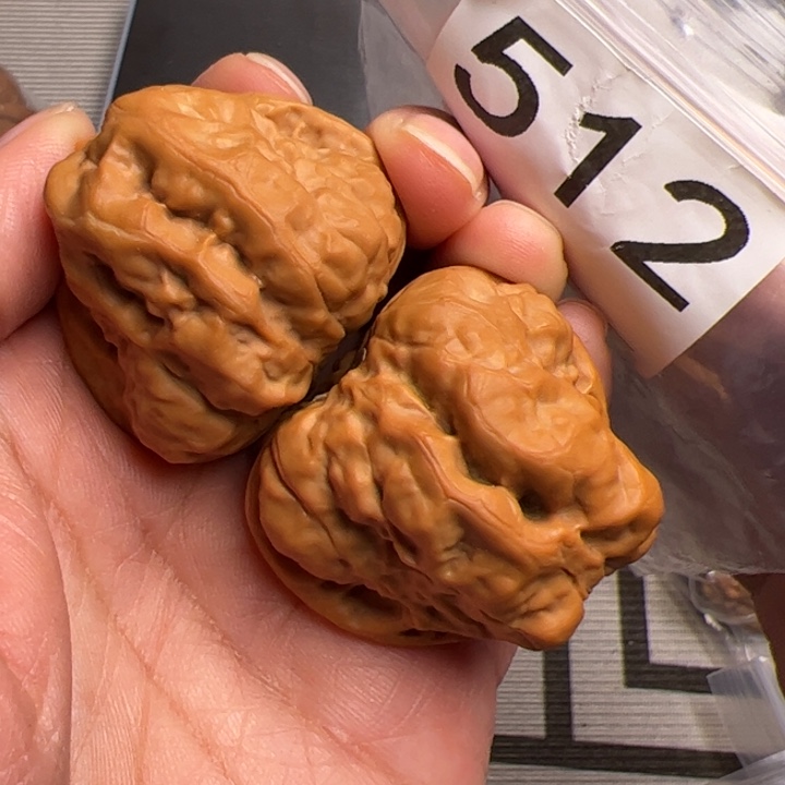 核桃边40肚42尺512号