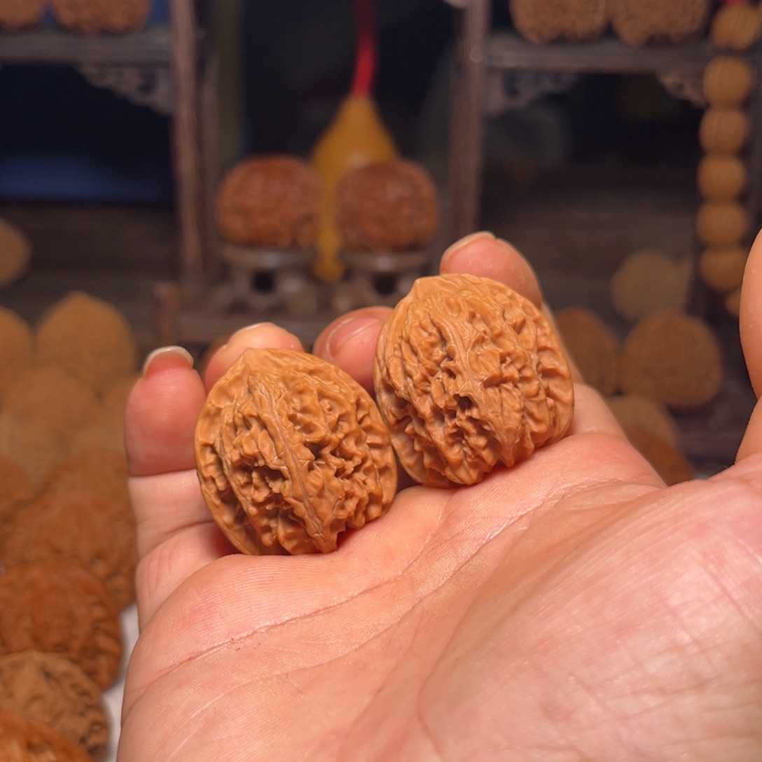 果***果文玩核桃吊坠老树盘龙纹