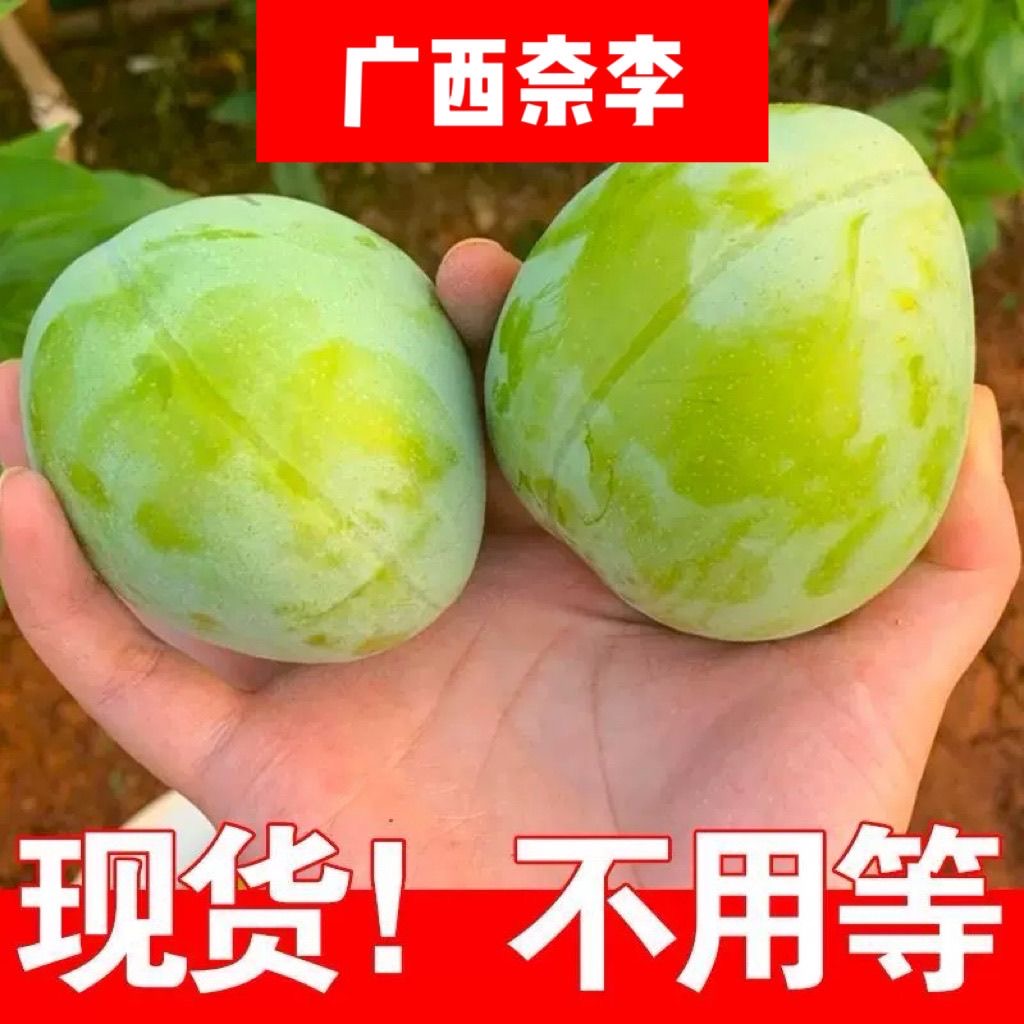 【正宗广西奈李】新鲜水果空心青脆当季整箱孕妇奈李子