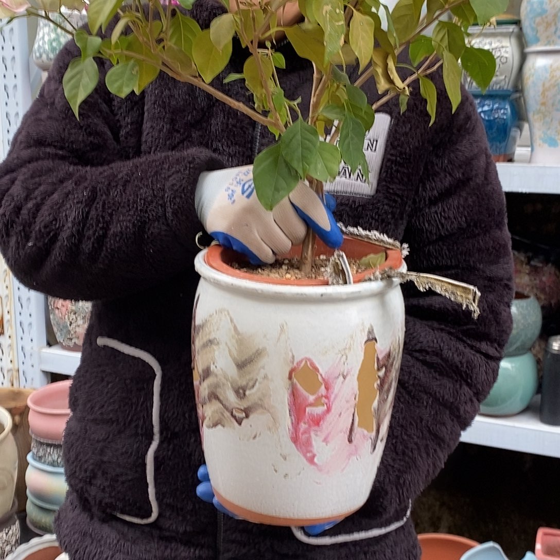 花盆紫砂口20高25瑕疵