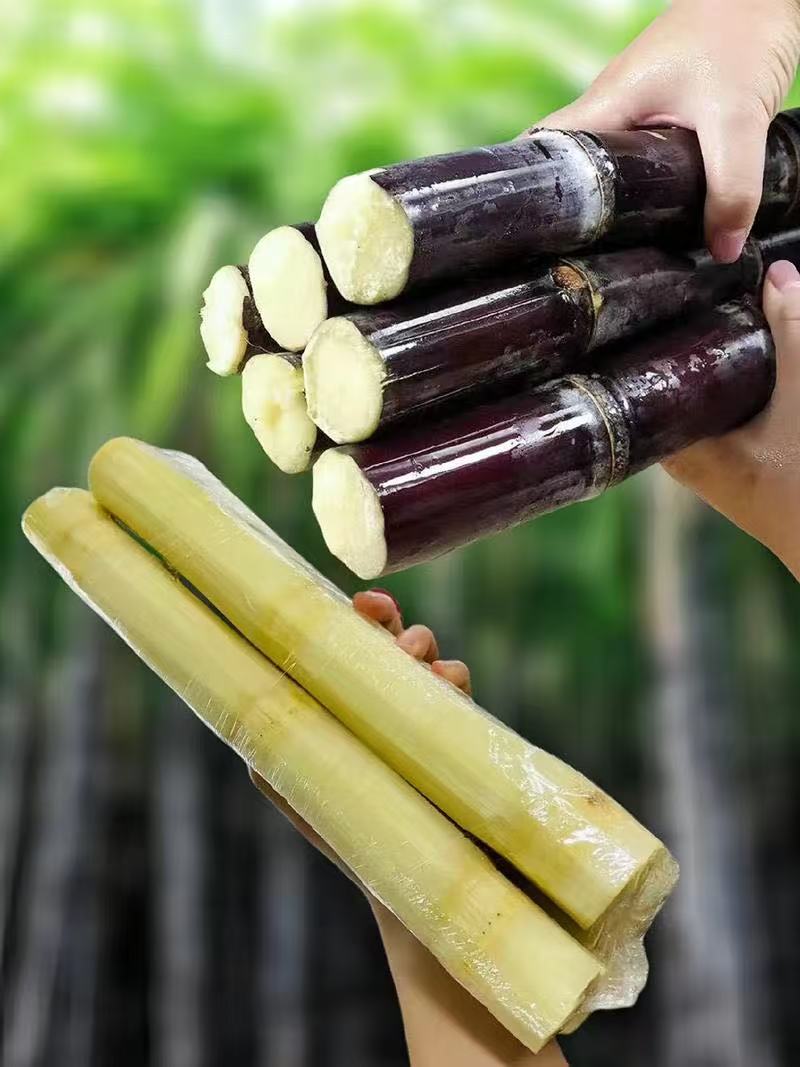 新鲜广西正宗黑皮甘蔗现砍当季水果清甜多汁清甜可口