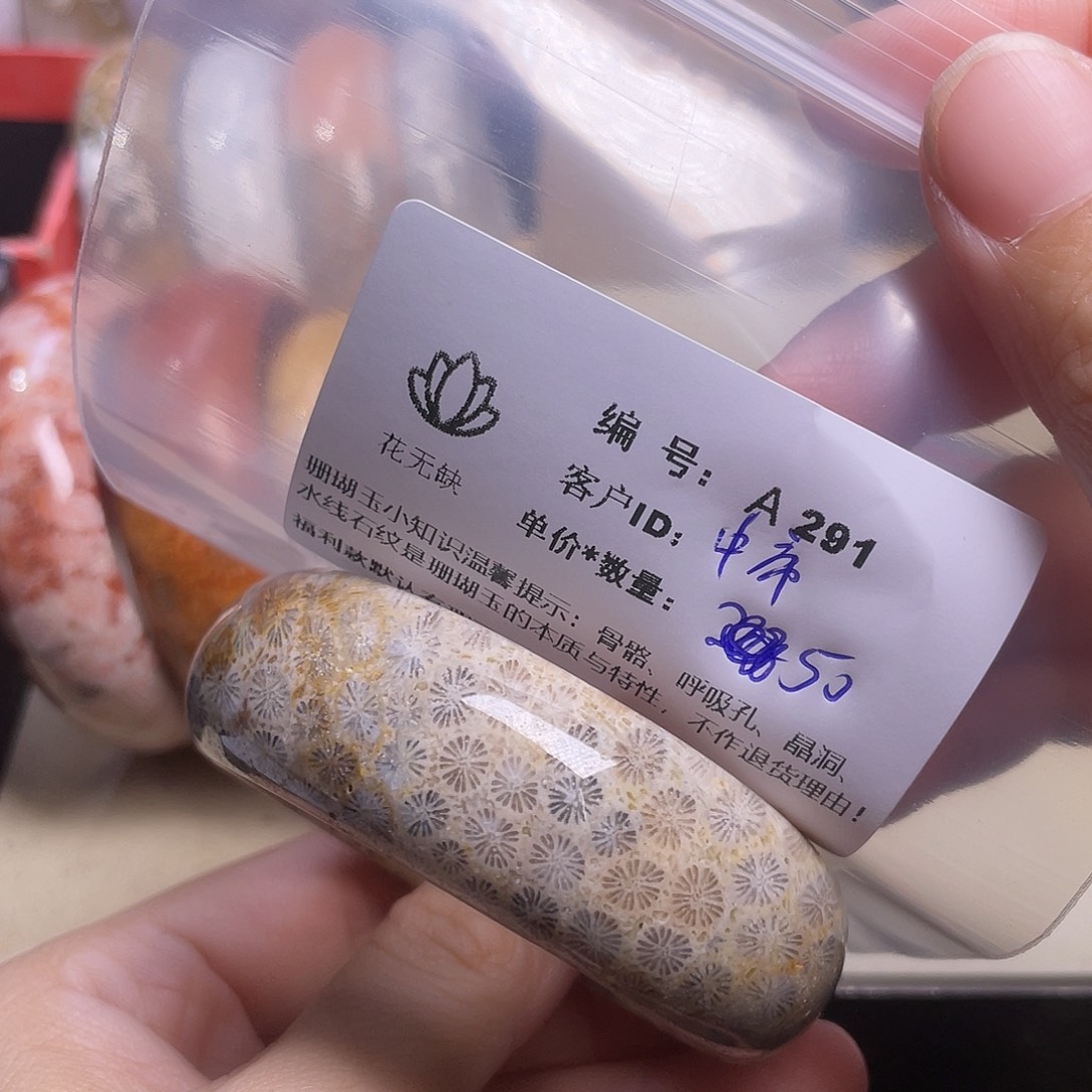 中***庸硅化玉未镶嵌手镯