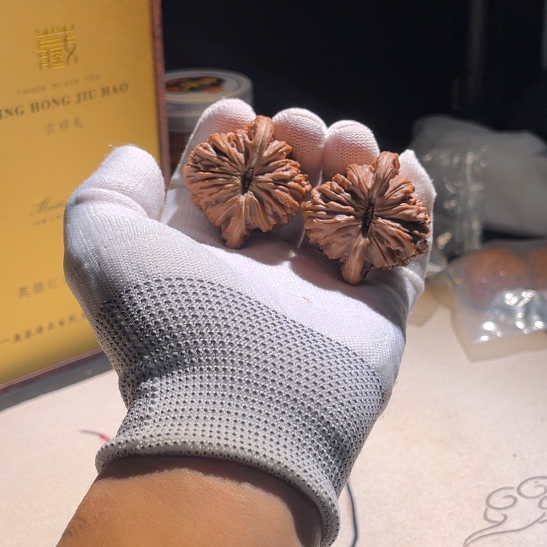 ****）楼子楼子楼子楼子某种 