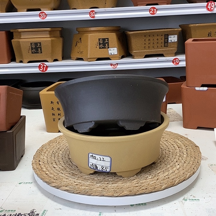 紫砂花盆今天下午
