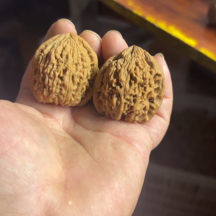 容****大叶紫檀（黑酸枝木类）