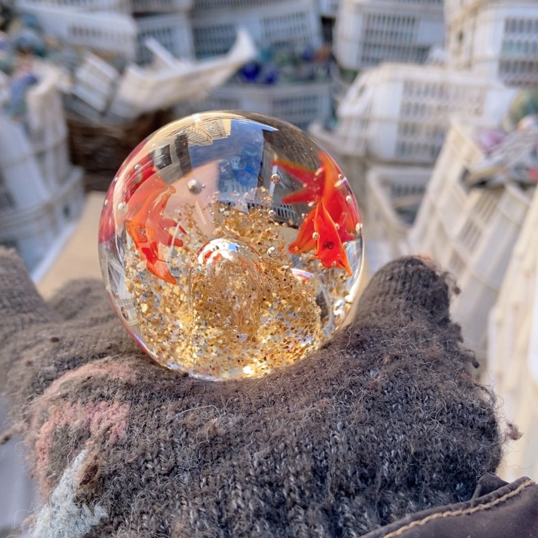 精品55542555666666565