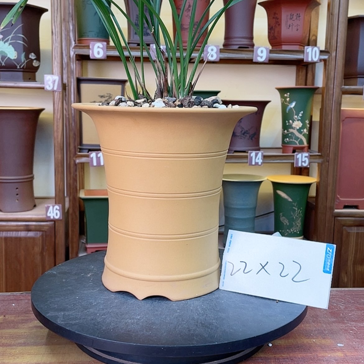 【闪购商品】紫砂花盆兰花455569855669855658