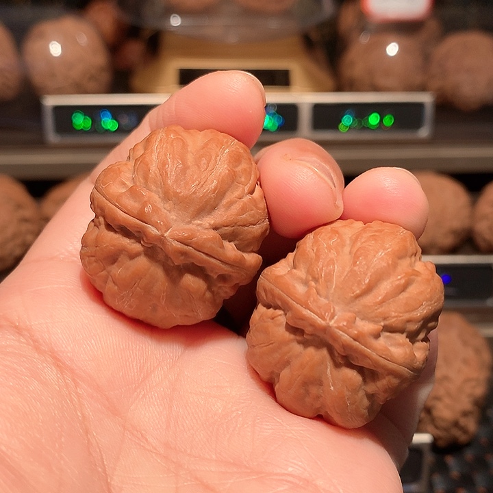 文玩核桃把件霸王筋34尺