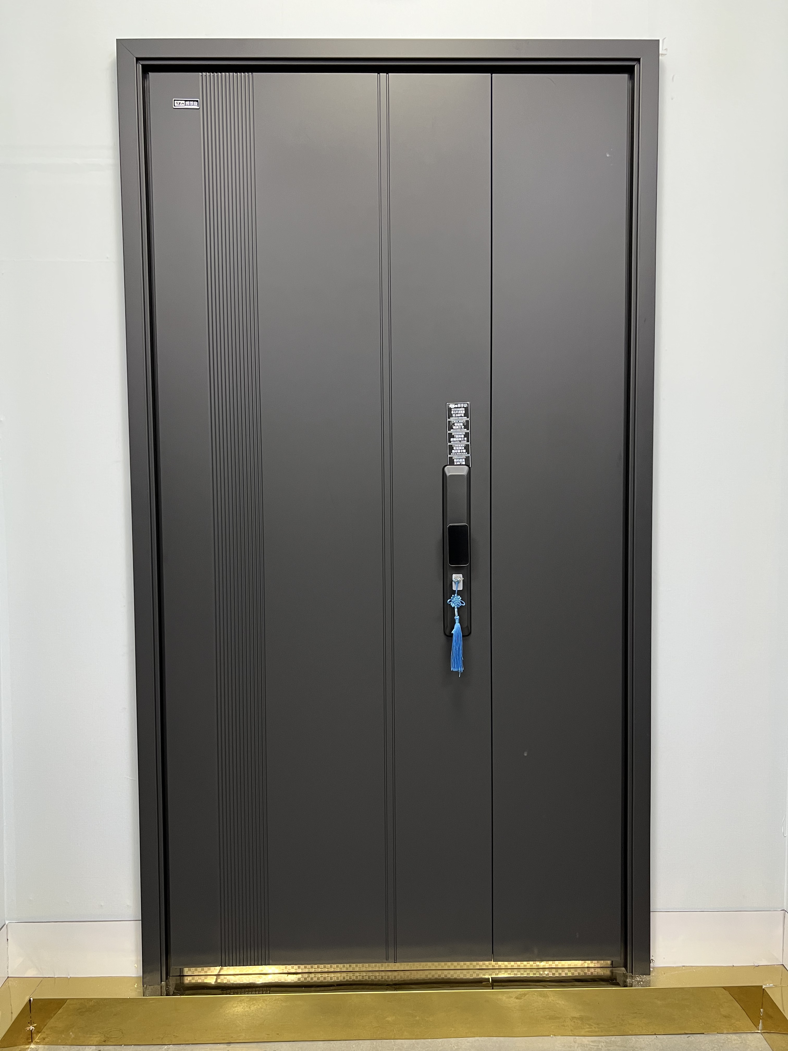 41.【精品入户门】高端防盗门 子母门捡漏