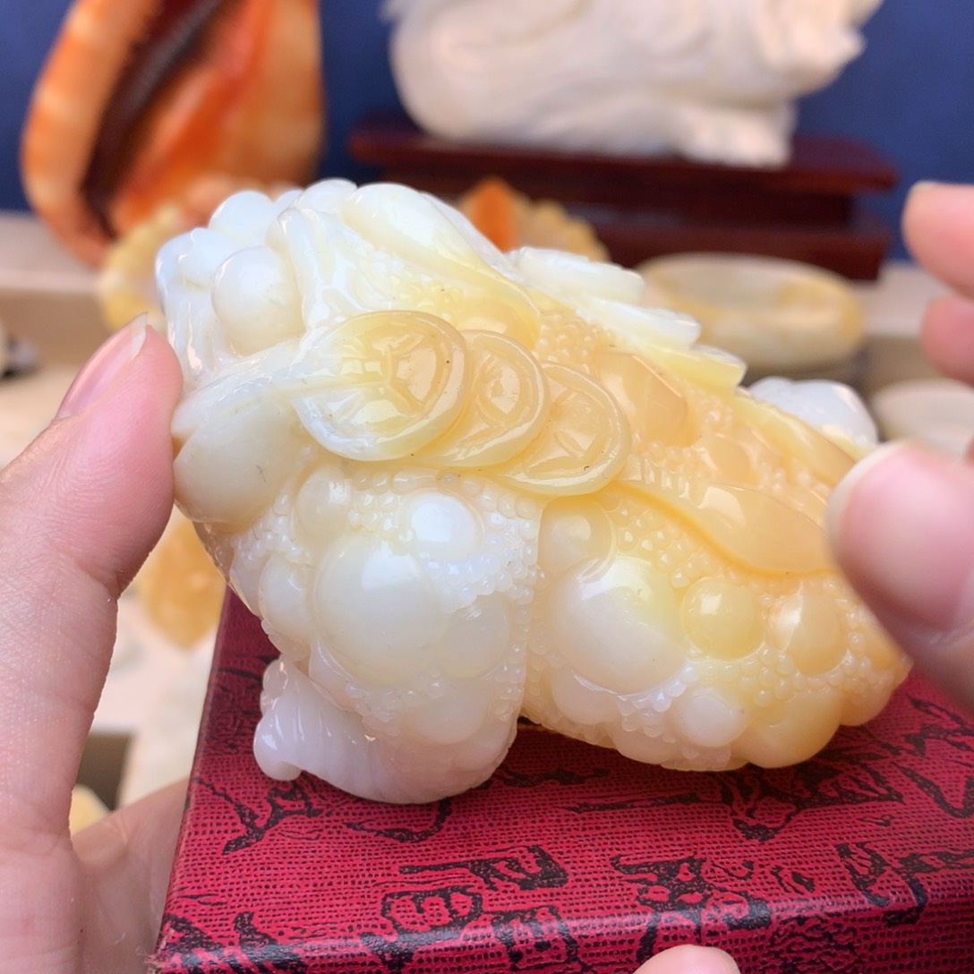 木对****—卡金蟾2025