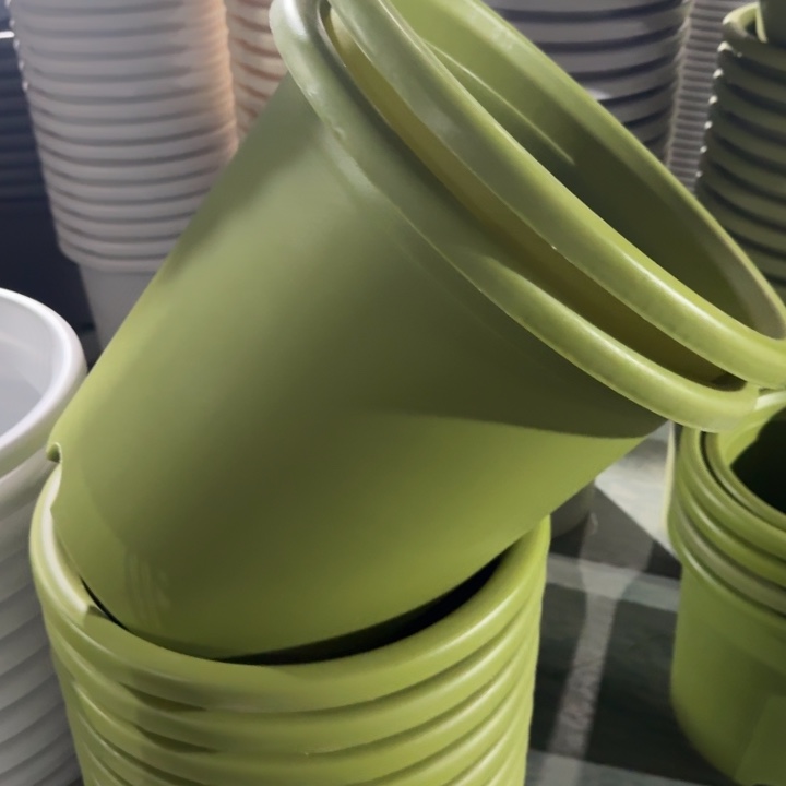 特价8#无托果绿3个