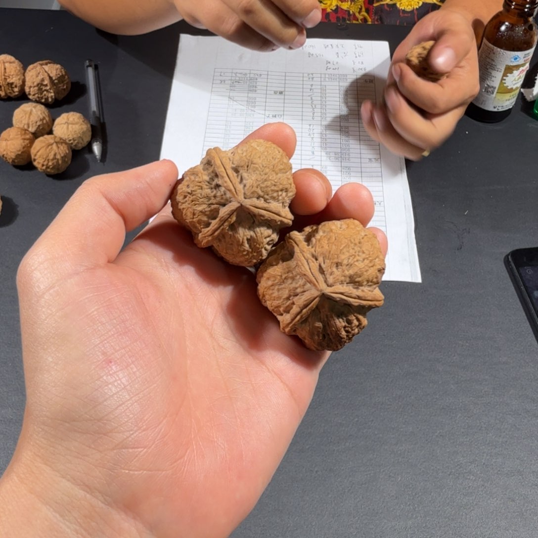 文玩核桃把件82号火麒麟三棱