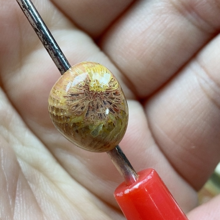 颈饰未镶嵌硅化珊瑚（珊瑚玉）通孔 小
