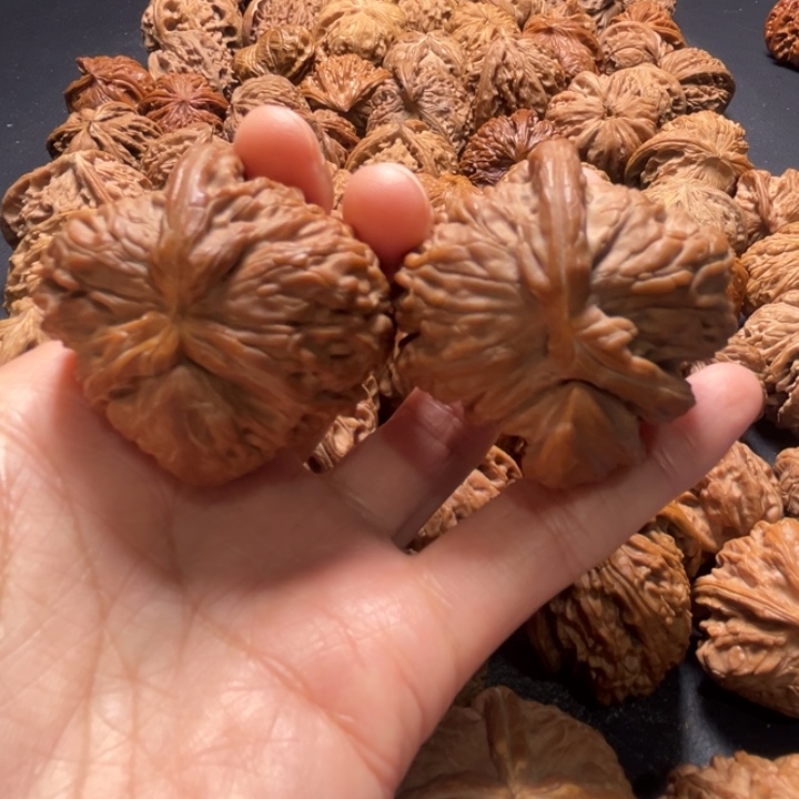 白狮子犀牛角43尺寸核桃哈哈哈哈哈哈哈哈哈