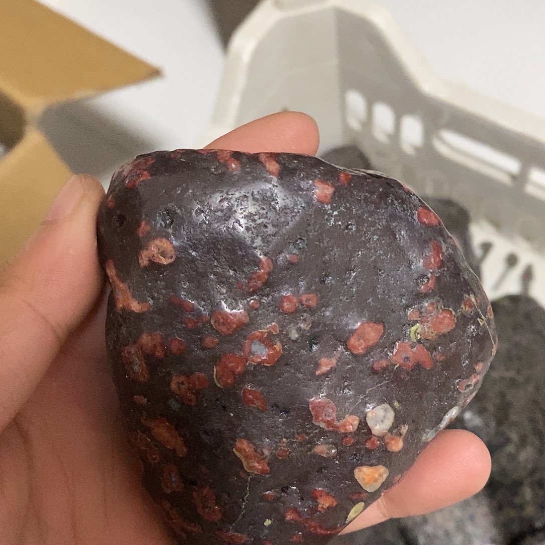 豫石匠梅花玉小鼻嘎随形手把压书石茶宠