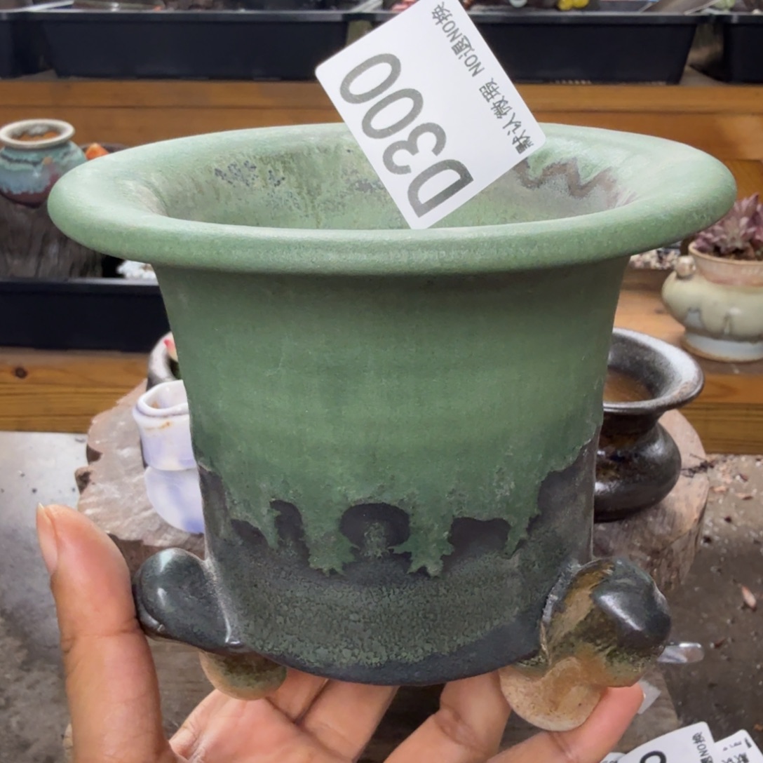 重庆小燕子欢迎大家300