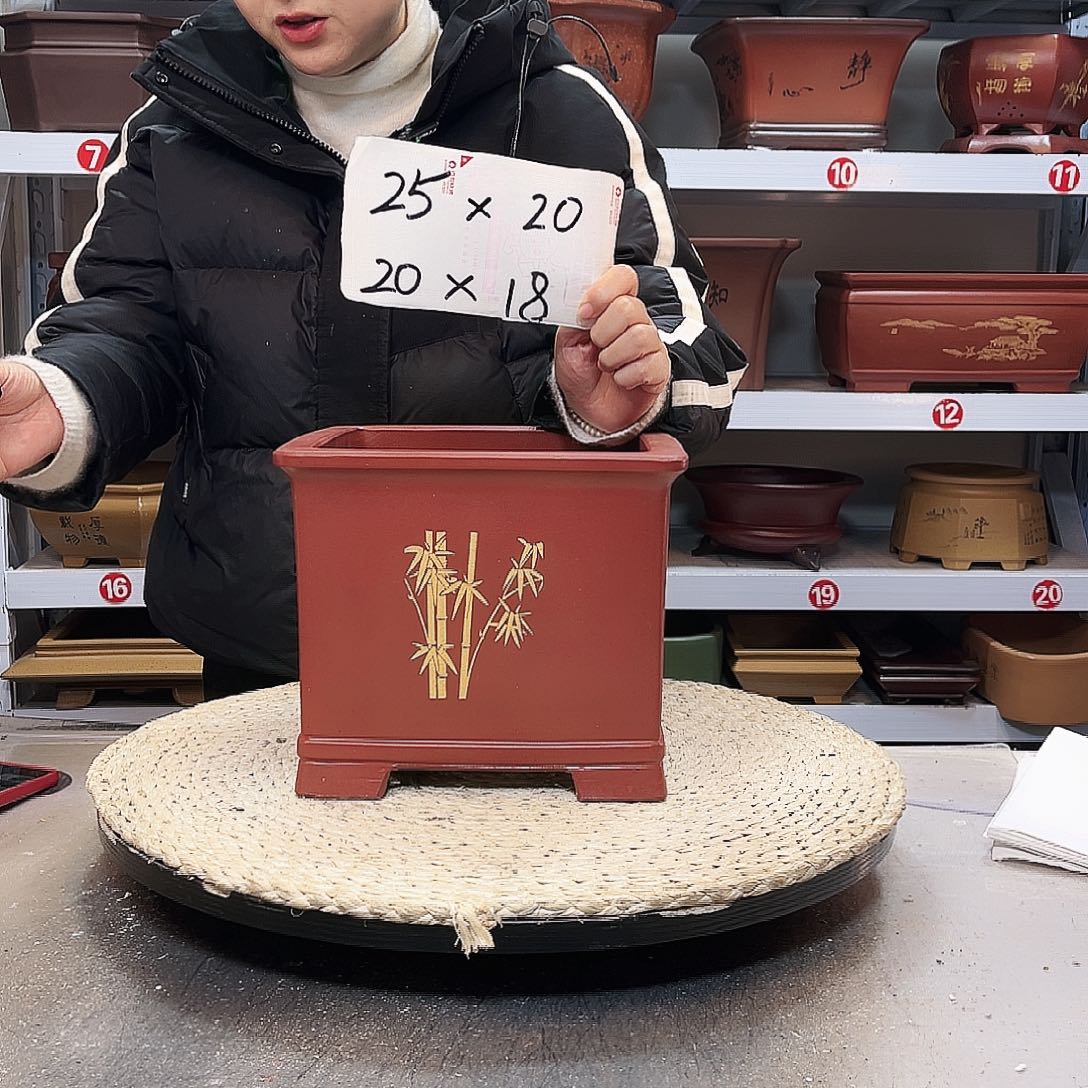 花盆紫砂紫砂花盆里