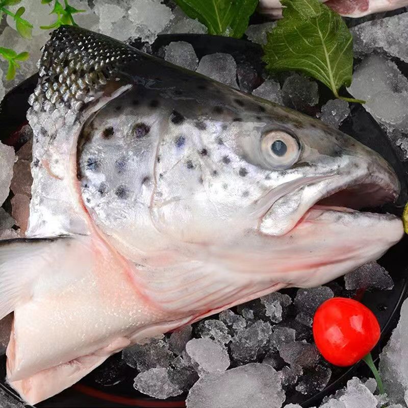 新鲜三文鱼超大鱼头新鲜冷冻煲汤香煎食材