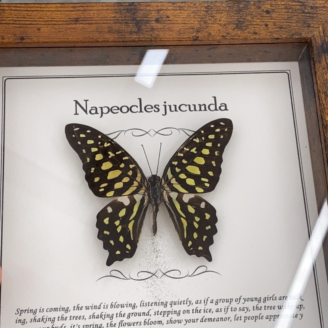 铝合金双层款蝴蝶相框